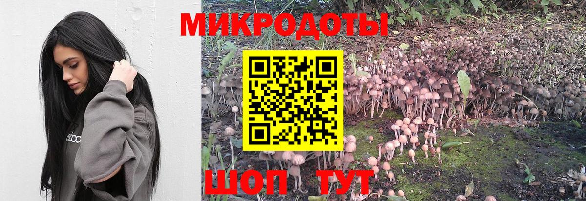 Псилоцибиновые грибы мухоморы  Вход с VPN  Рассказово 